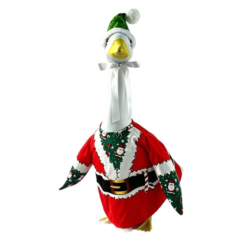 Christmas Element Print Porch Goose Outfit