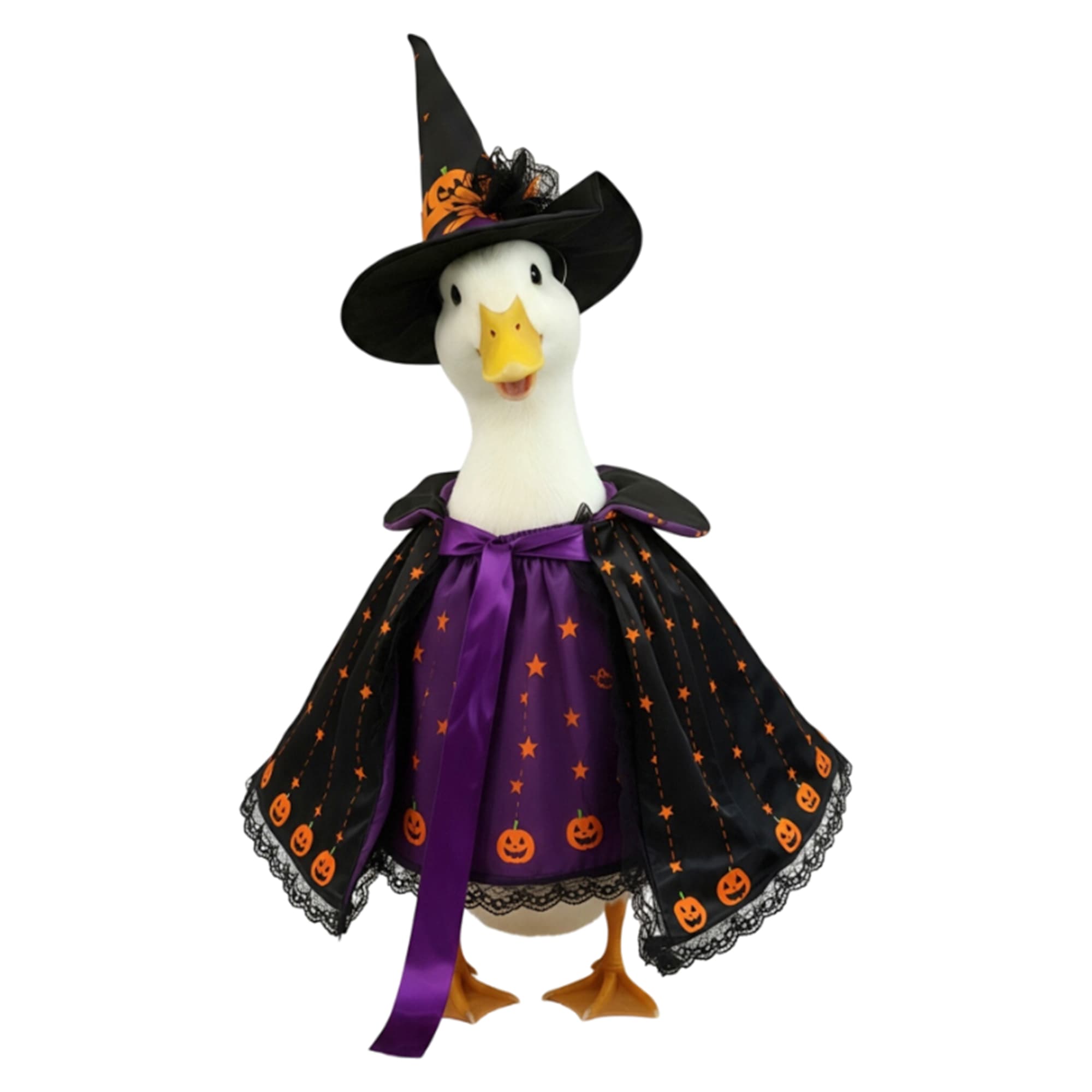 Halloween Witch Print Porch Goose Outfit