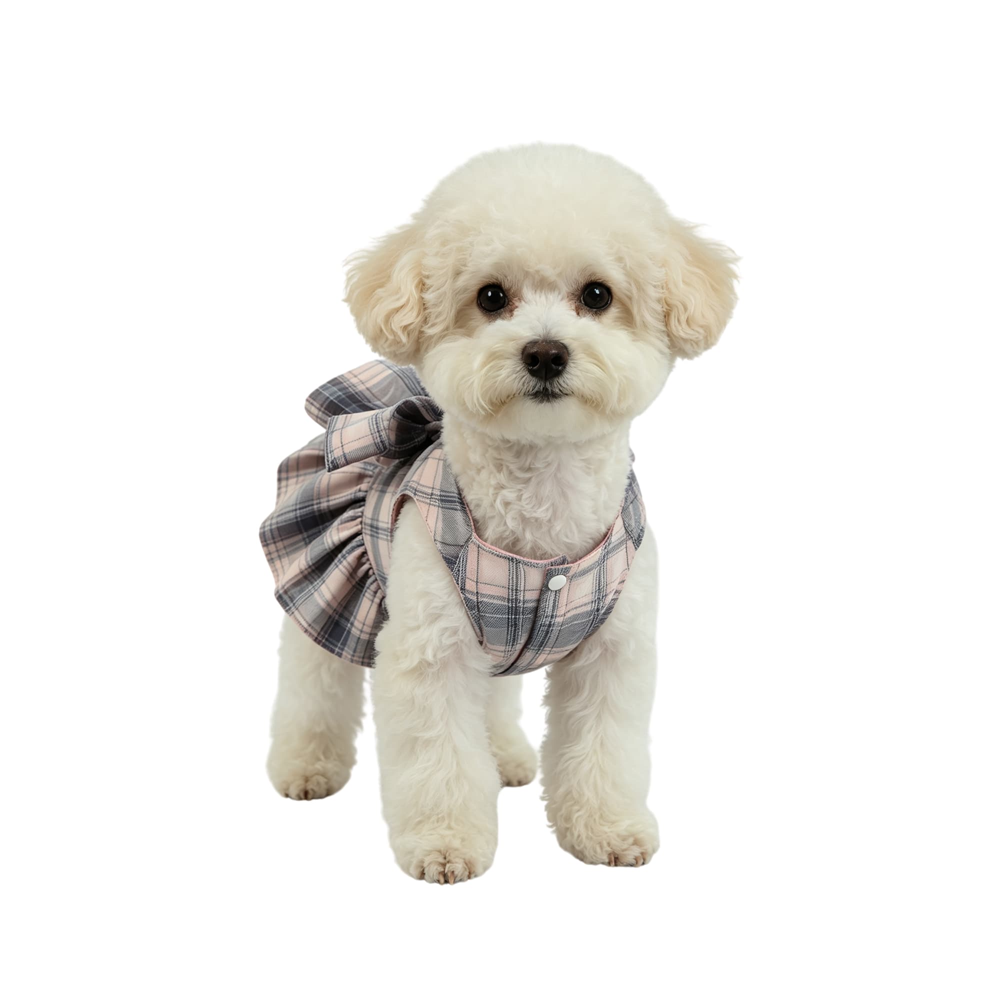 Plaid JK-Style Pet Skirt