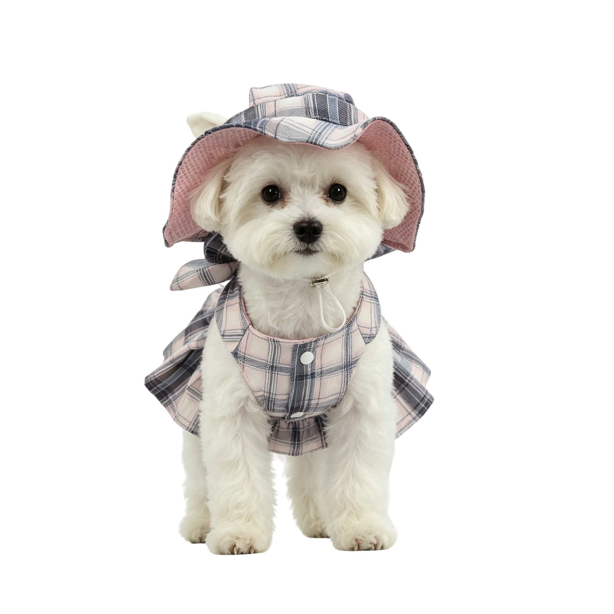 Plaid Pet Dress and Hat Set